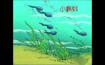 小蝌蚪下载在线视频,在线视频一网打尽